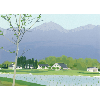 みず田のころ