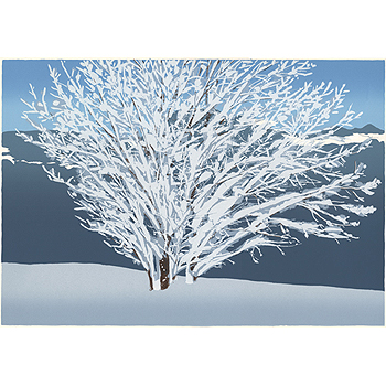 雪華 b