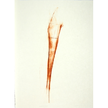 sanguine 31