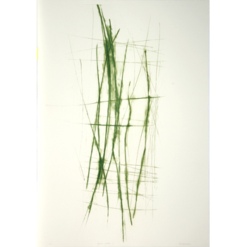 terre-verte 1