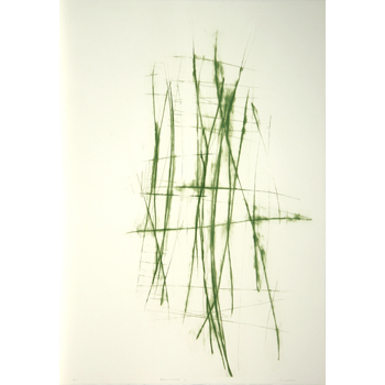 terre-verte 3